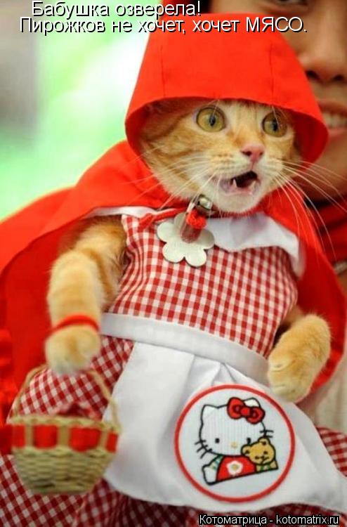 Бабушка озверела! Пирожков не хочет, хочет МЯСО.... Котоматрица: Бабушка озверела! Пирожков не хочет, хочет МЯСО.