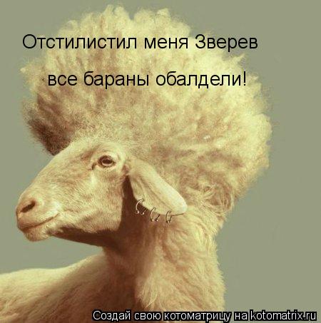Отстилистил меня Зверев все бараны обалдели!... Котоматрица: Отстилистил меня Зверев все бараны обалдели!