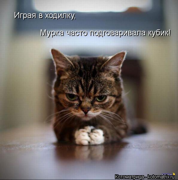 Играя в ходилку, Мурка часто подговаривала кубик!... Котоматрица: Играя в ходилку, Мурка часто подговаривала кубик!