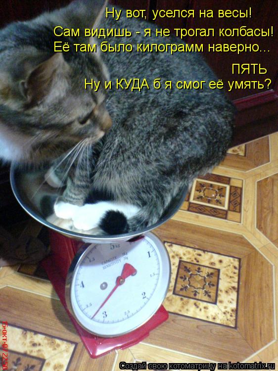 Ну вот, уселся на весы! Сам видишь - я не трогал колбасы! Её там было килограмм наверно... ПЯТЬ Ну и ... Котоматрица: Ну вот, уселся на весы! Сам видишь - я не трогал колбасы! Её там было килограмм наверно... ПЯТЬ Ну и КУДА б я смог её умять?