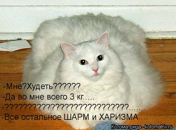 -Мне?Худеть?????? -Да во мне всего 3 кг..... -???????????????????????????..... -Все остальное ШАРМ и ... Котоматрица: -Мне?Худеть?????? -Да во мне всего 3 кг..... -???????????????????????????..... -Все остальное ШАРМ и ХАРИЗМА....