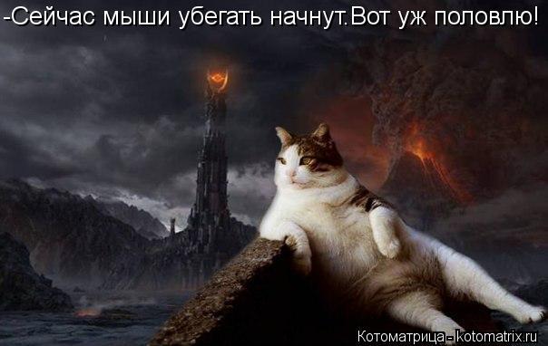 -Сейчас мыши убегать начнут.Вот уж половлю!... Котоматрица: -Сейчас мыши убегать начнут.Вот уж половлю!