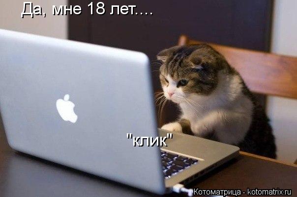 Да, мне 18 лет.... "клик"... Котоматрица: Да, мне 18 лет.... "клик"