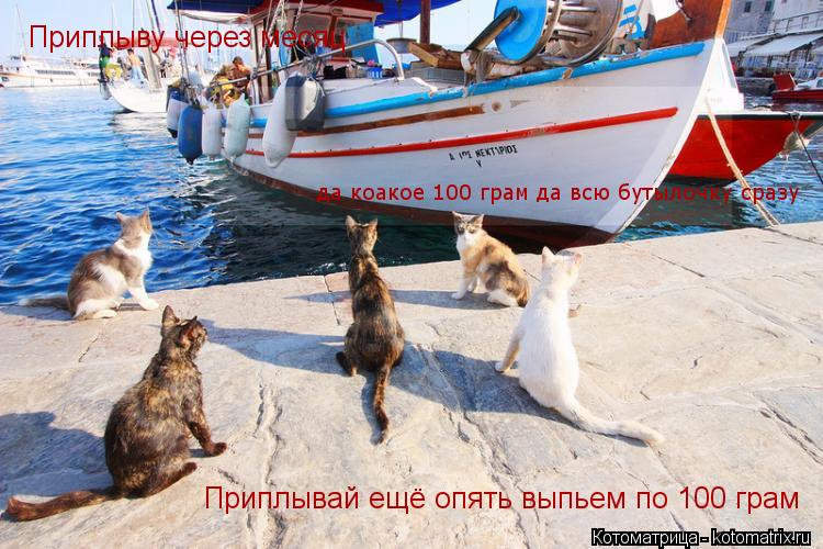Приплывай ещё опять выпьем по 100 грам Приплыву через месяц да коакое 100 грам да всю бутылочку сраз... Котоматрица: Приплывай ещё опять выпьем по 100 грам Приплыву через месяц да коакое 100 грам да всю бутылочку сразу