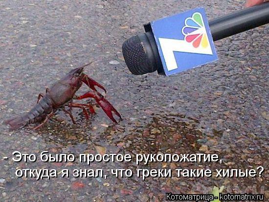 - Это было простое рукопожатие, откуда я знал, что греки такие хилые?... Котоматрица: - Это было простое рукопожатие, откуда я знал, что греки такие хилые?