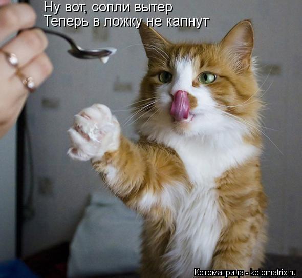 Ну вот, сопли вытер Теперь в ложку не капнут... Котоматрица: Ну вот, сопли вытер Теперь в ложку не капнут