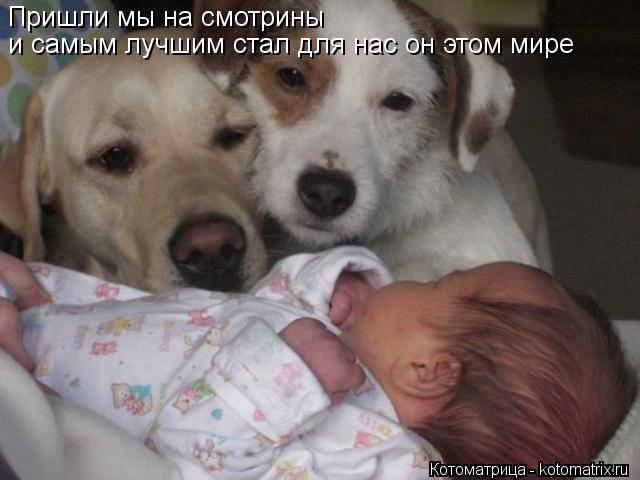 Пришли мы на смотрины и самым лучшим стал для нас он этом мире... Котоматрица: Пришли мы на смотрины и самым лучшим стал для нас он этом мире