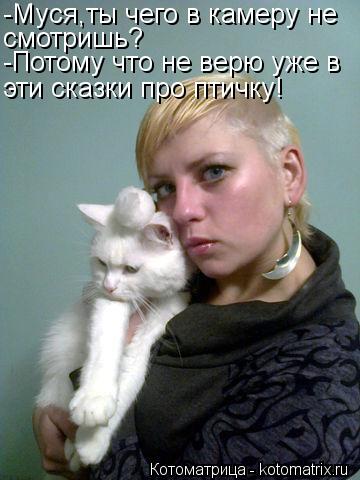 -Муся,ты чего в камеру не смотришь? -Потому что не верю уже в эти сказки про птичку!... Котоматрица: -Муся,ты чего в камеру не смотришь? -Потому что не верю уже в эти сказки про птичку!