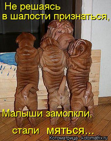 Котоматрица: Не решаясь  в шалости признаться,  Малыши замолкли, стали мяться...