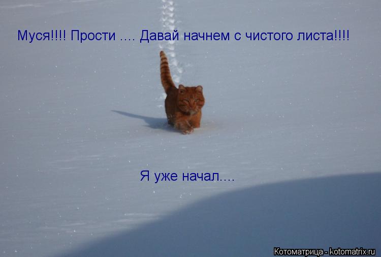 Муся!!!! Прости .... Давай начнем с чистого листа!!!! Я уже начал....... Котоматрица: Муся!!!! Прости .... Давай начнем с чистого листа!!!! Я уже начал....