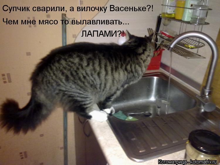 Котоматрица: Супчик сварили, а вилочку Васеньке?! Чем мне мясо то вылавливать... ЛАПАМИ?!