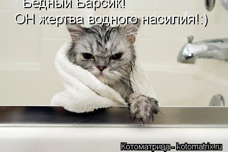 Бедный Барсик! ОН жертва водного насилия!:)... Котоматрица: Бедный Барсик! ОН жертва водного насилия!:)
