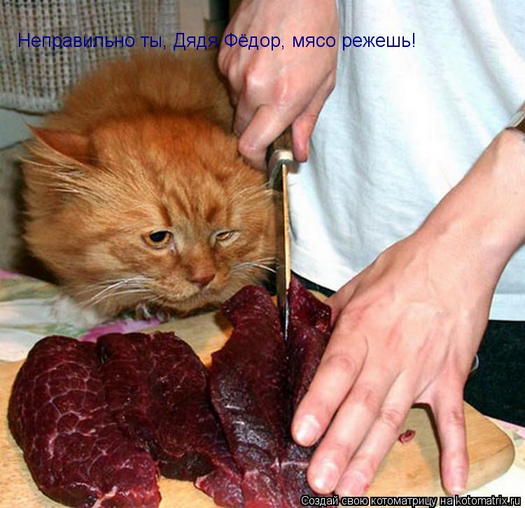 Неправильно ты, Дядя Фёдор, мясо режешь!... Котоматрица: Неправильно ты, Дядя Фёдор, мясо режешь!