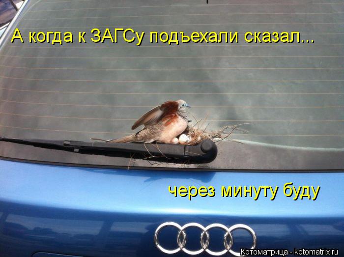 А когда к ЗАГСу подъехали сказал... через минуту буду... Котоматрица: А когда к ЗАГСу подъехали сказал... через минуту буду