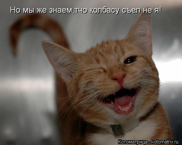 Но мы же знаем,тчо колбасу съел не я!... Котоматрица: Но мы же знаем,тчо колбасу съел не я!