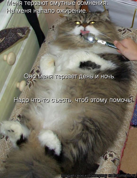 Меня терзают смутные сомнения: На меня напало ожирение. Оно меня терзает день и ночь. Надо что-то съе... Котоматрица: Меня терзают смутные сомнения: На меня напало ожирение. Оно меня терзает день и ночь. Надо что-то съесть, чтоб этому помочь!