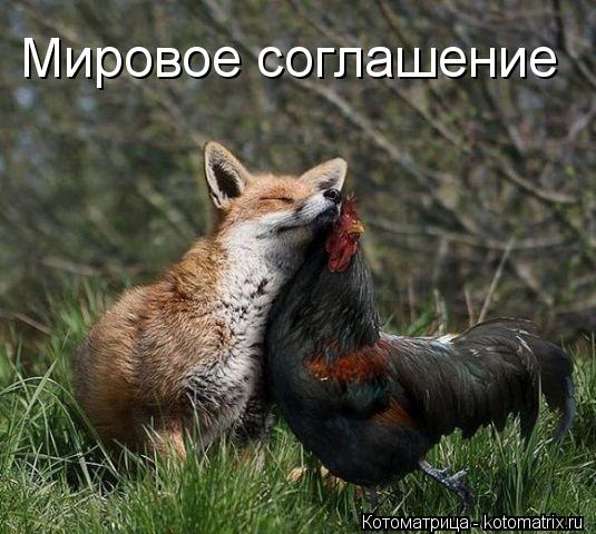 Мировое соглашение... Котоматрица: Мировое соглашение