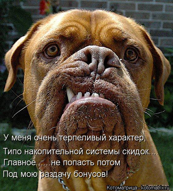 У меня очень терпеливый характер, Типо накопительной системы скидок.... Главное......не попасть потом... Котоматрица: У меня очень терпеливый характер, Типо накопительной системы скидок.... Главное......не попасть потом Под мою раздачу бонусов!