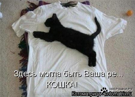 Здесь могла быть Ваша ре... КОШКА!... Котоматрица: Здесь могла быть Ваша ре... КОШКА!