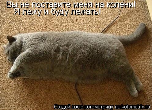 Котоматрица: Вы не поставите меня на колени! Я лежу и буду лежать!