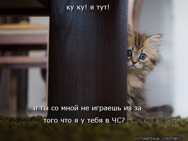 ку ку! я тут! и ты со мной не играешь из за того что я у тебя в ЧС?... Котоматрица: ку ку! я тут! и ты со мной не играешь из за того что я у тебя в ЧС?