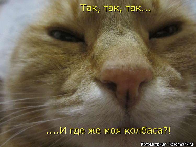 Так, так, так... ....И где же моя колбаса?!... Котоматрица: Так, так, так... ....И где же моя колбаса?!