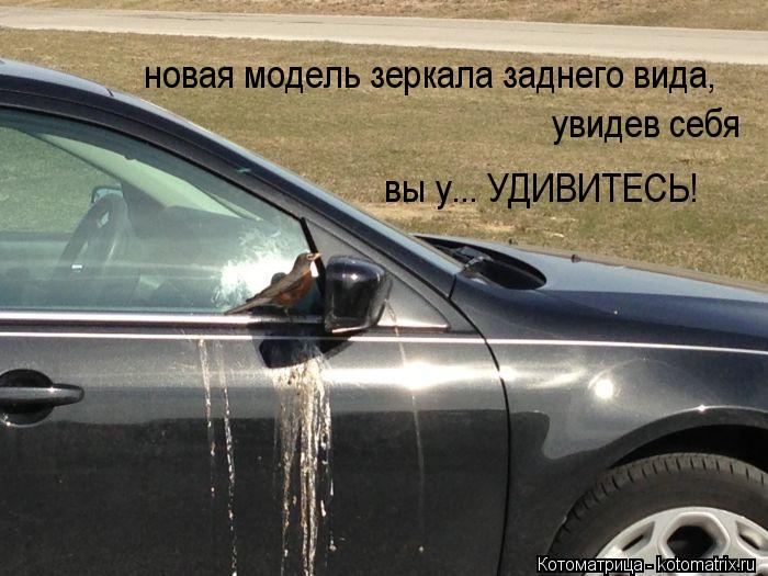 новая модель зеркала заднего вида, увидев себя вы у... УДИВИТЕСЬ!... Котоматрица: новая модель зеркала заднего вида, увидев себя вы у... УДИВИТЕСЬ!