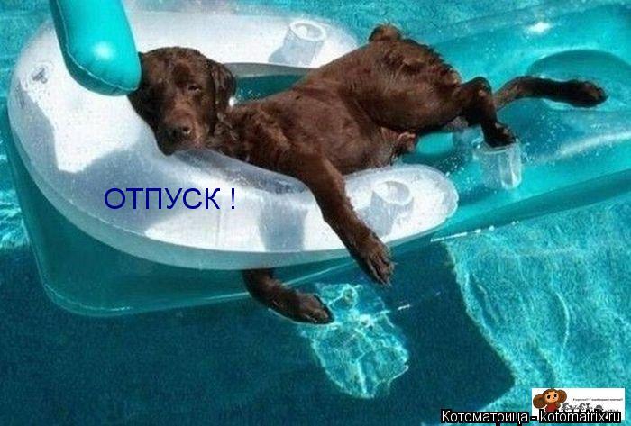 Котоматрица: ОТПУСК !