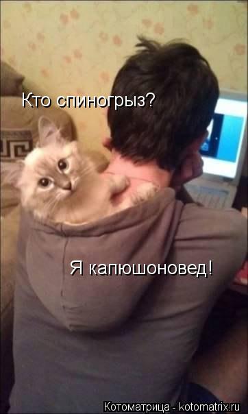 Кто спиногрыз? Я капюшоновед!... Котоматрица: Кто спиногрыз? Я капюшоновед!