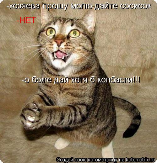 -хозяева прошу молю дайте сосисок -НЕТ -о боже дай хотя б колбаски!!!... Котоматрица: -хозяева прошу молю дайте сосисок -НЕТ -о боже дай хотя б колбаски!!!