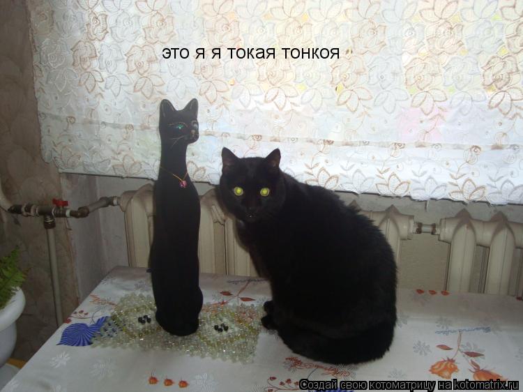 это я я токая тонкоя... Котоматрица: это я я токая тонкоя