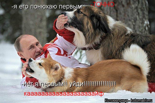 -я его понюхаю первым -нет я первым!! уйди!!!!!!!!!!!!!!!!! кааааааааааааааааааайф -ТОЧНО... Котоматрица: -я его понюхаю первым -нет я первым!! уйди!!!!!!!!!!!!!!!!! кааааааааааааааааааайф -ТОЧНО
