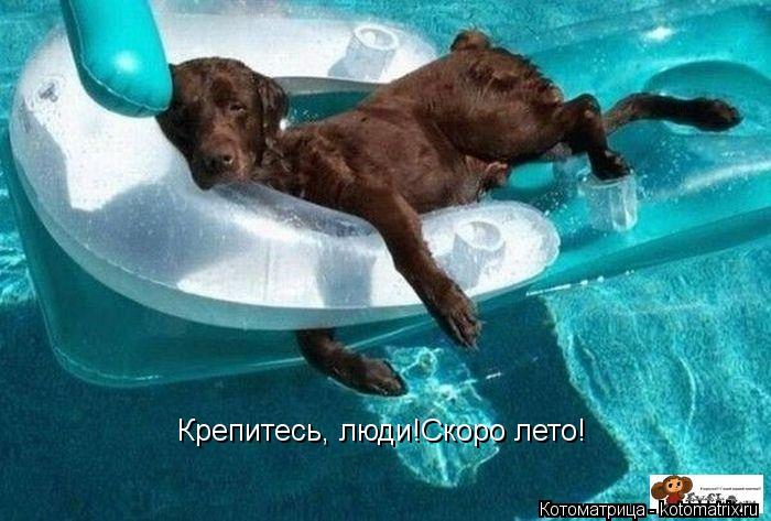 Котоматрица: Крепитесь, люди!Скоро лето!