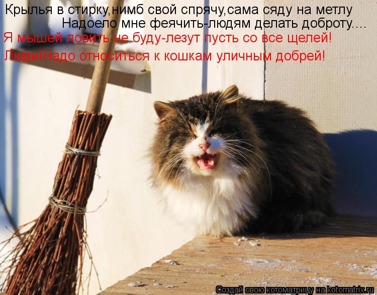 Крылья в стирку,нимб свой спрячу,сама сяду на метлу Надоело мне феячить-людям делать доброту.... Я мы... Котоматрица: Крылья в стирку,нимб свой спрячу,сама сяду на метлу Надоело мне феячить-людям делать доброту.... Я мышей ловить не буду-лезут пусть со все щел