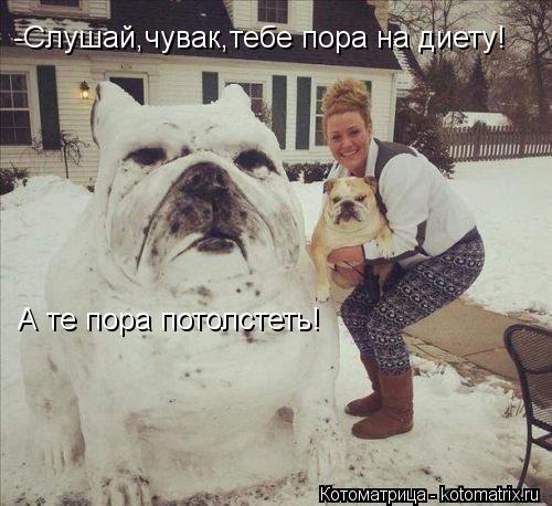 -Слушай,чувак,тебе пора на диету! А те пора потолстеть!... Котоматрица: -Слушай,чувак,тебе пора на диету! А те пора потолстеть!