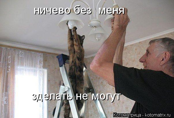 Котоматрица: ничево без  меня зделать не могут