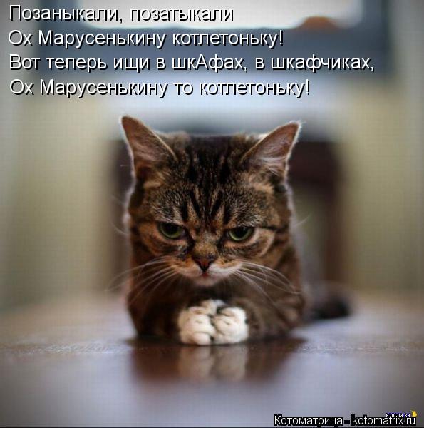 Позаныкали, позатыкали Ох Марусенькину котлетоньку! Вот теперь ищи в шкАфах, в шкафчиках, Ох Марусень... Котоматрица: Позаныкали, позатыкали Ох Марусенькину котлетоньку! Вот теперь ищи в шкАфах, в шкафчиках, Ох Марусенькину то котлетоньку!