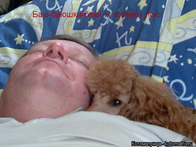 Баю-баюшки-баю! Я хозяину пою!... Котоматрица: Баю-баюшки-баю! Я хозяину пою!