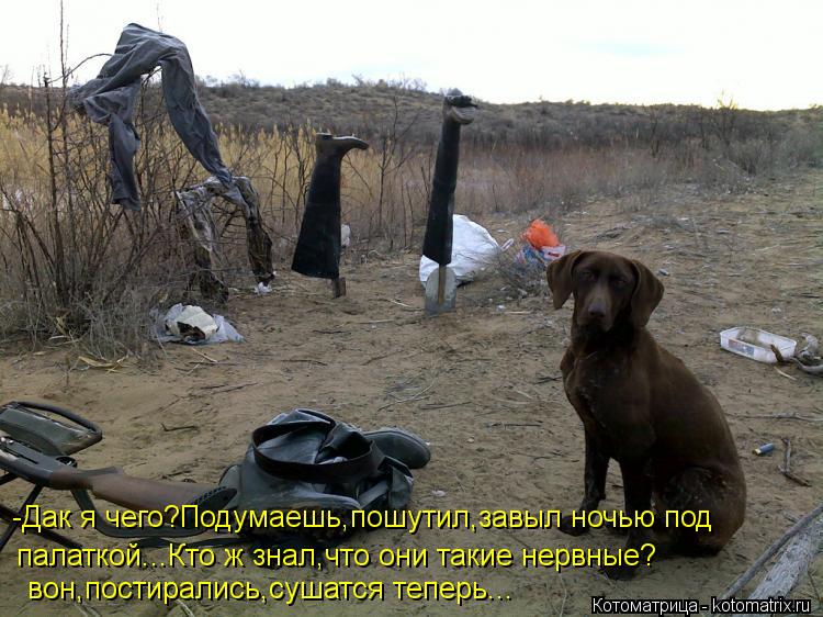 -Дак я чего?Подумаешь,пошутил,завыл ночью под палаткой...Кто ж знал,что они такие нервные? вон,постир... Котоматрица: -Дак я чего?Подумаешь,пошутил,завыл ночью под палаткой...Кто ж знал,что они такие нервные? вон,постирались,сушатся теперь...
