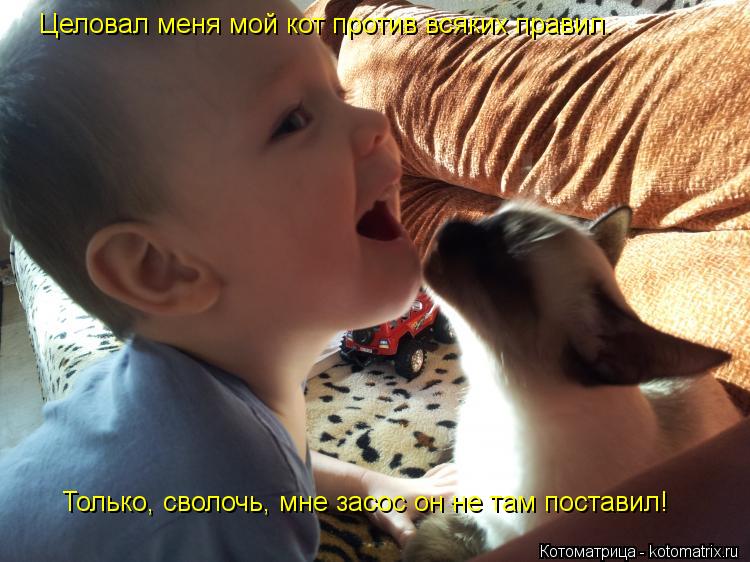 Целовал меня мой кот против всяких правил. Только, сволочь, мне засос он не там поставил!... Котоматрица: Целовал меня мой кот против всяких правил. Только, сволочь, мне засос он не там поставил!