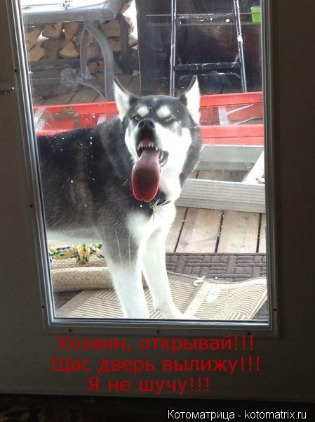 Хозяин, открывай!!! Щас дверь вылижу!!! Я не шучу!!!... Котоматрица: Хозяин, открывай!!! Щас дверь вылижу!!! Я не шучу!!!