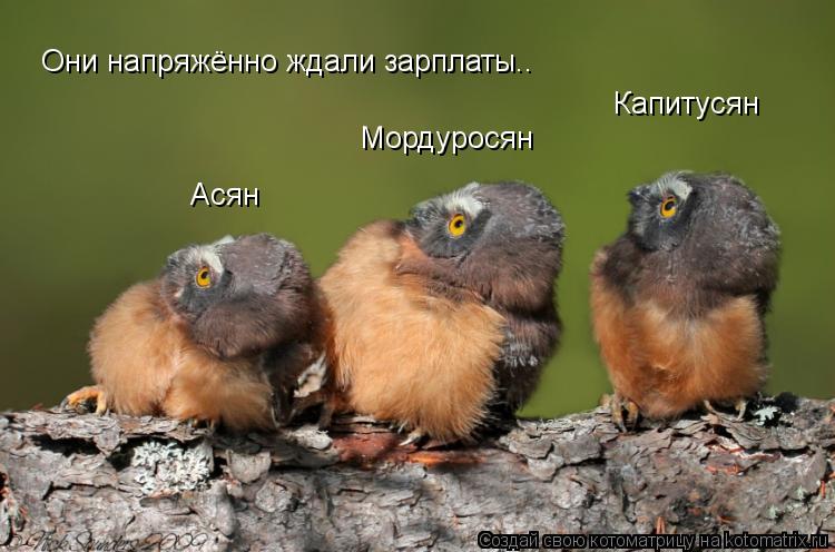 Асян Мордуросян Капитусян Они напряжённо ждали зарплаты..... Котоматрица: Асян Мордуросян Капитусян Они напряжённо ждали зарплаты..
