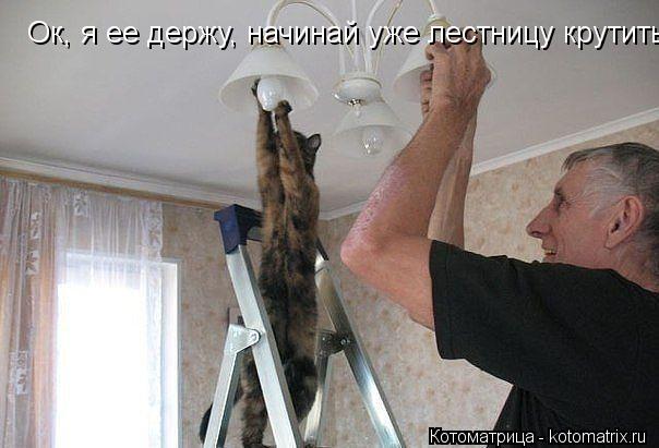 Ок, я ее держу, начинай уже лестницу крутить... Котоматрица: Ок, я ее держу, начинай уже лестницу крутить