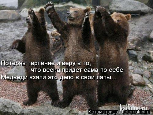 Потеряв терпение и веру в то, что весна придет сама по себе Медведи взяли это дело в свои лапы...... Котоматрица: Потеряв терпение и веру в то, что весна придет сама по себе Медведи взяли это дело в свои лапы...