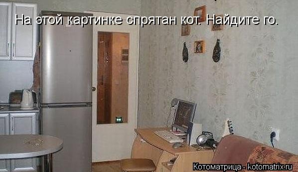 На этой картинке спрятан кот. Найдите го.... Котоматрица: На этой картинке спрятан кот. Найдите го.