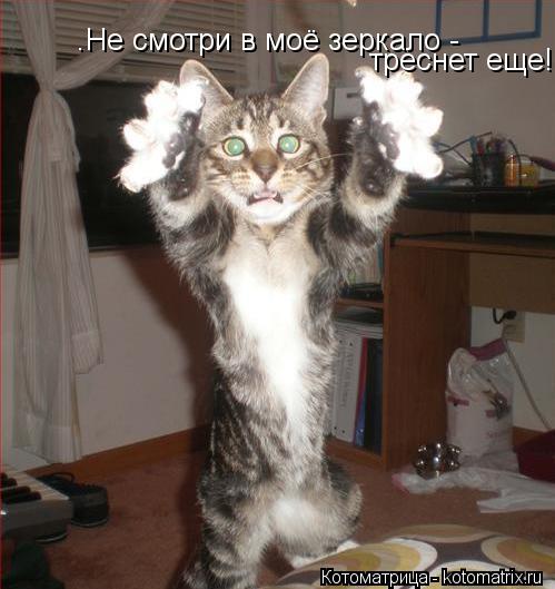 .Не смотри в моё зеркало - треснет еще!... Котоматрица: .Не смотри в моё зеркало - треснет еще!