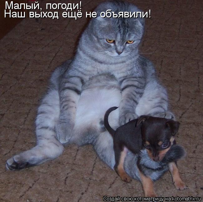 Котоматрица: Малый, погоди! Наш выход ещё не объявили!