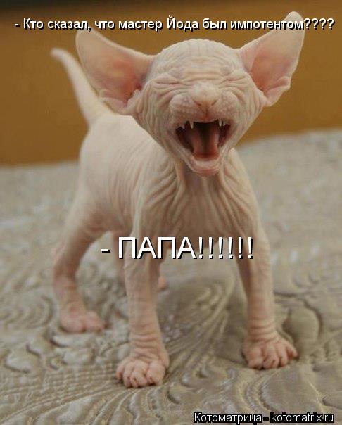 - Кто сказал, что мастер Йода был импотентом???? - ПАПА!!!!!!... Котоматрица: - Кто сказал, что мастер Йода был импотентом???? - ПАПА!!!!!!