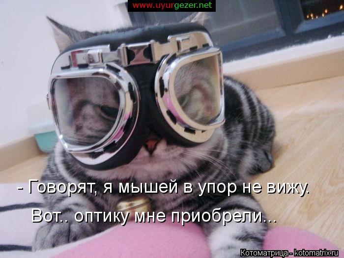 - Говорят, я мышей в упор не вижу. Вот.. оптику мне приобрели...... Котоматрица: - Говорят, я мышей в упор не вижу. Вот.. оптику мне приобрели...