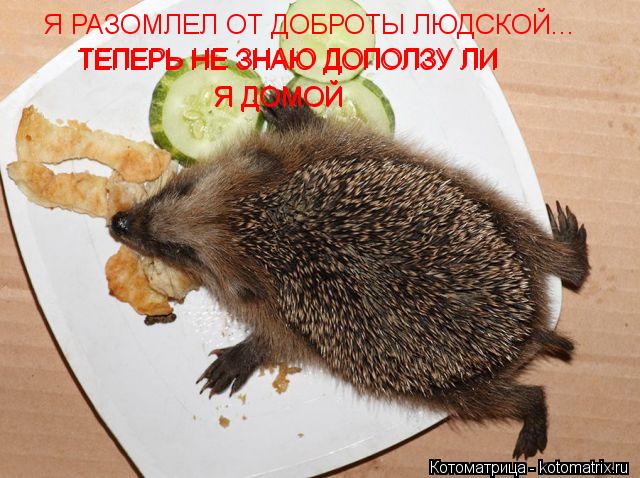 Я РАЗОМЛЕЛ ОТ ДОБРОТЫ ЛЮДСКОЙ... ТЕПЕРЬ НЕ ЗНАЮ ДОПОЛЗУ ЛИ Я ДОМОЙ Я ДОМОЙ ТЕПЕРЬ НЕ ЗНАЮ ДОПОЛЗУ ЛИ... Котоматрица: Я РАЗОМЛЕЛ ОТ ДОБРОТЫ ЛЮДСКОЙ... ТЕПЕРЬ НЕ ЗНАЮ ДОПОЛЗУ ЛИ Я ДОМОЙ Я ДОМОЙ ТЕПЕРЬ НЕ ЗНАЮ ДОПОЛЗУ ЛИ